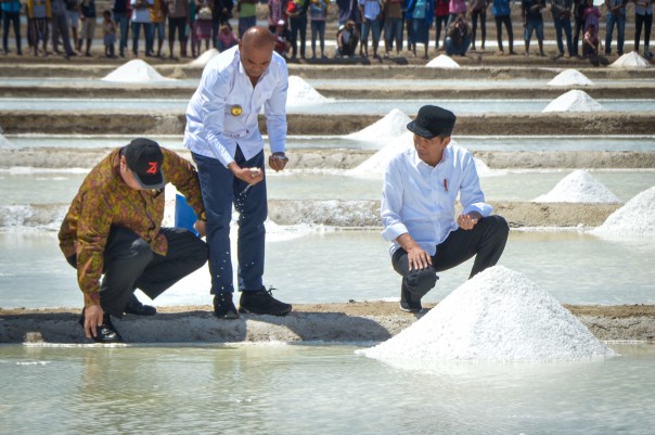 Presiden Joko Widodo meninjau tambak garam di NTT