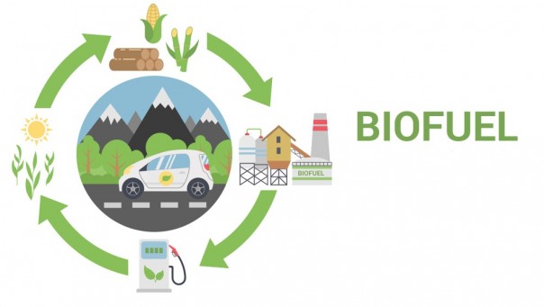 Ilustrasi biofuel