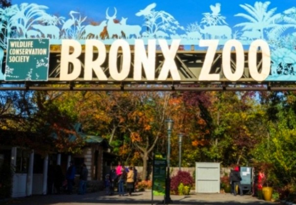 Kebun Binatang Bronx, New York, Amerika Serikat 