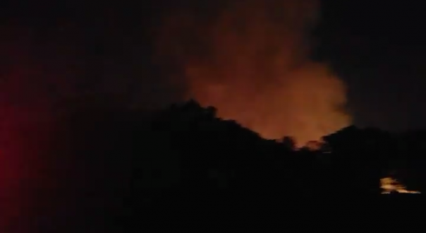 Kebakaran lahan di Rmbo Panjang. (istimewa)