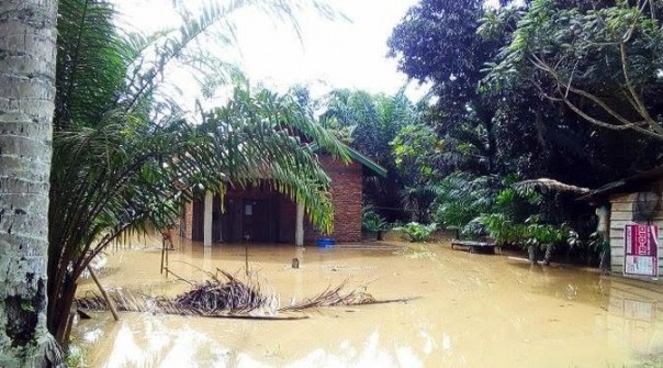 Kondisi pemukiman warga di Riau yang diserang banjir 