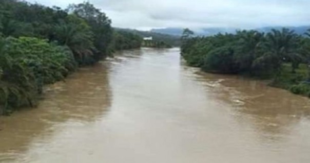 Debit air sungai Kampar mengalami peningkatan pada Rabu (12/2/2020) siang.