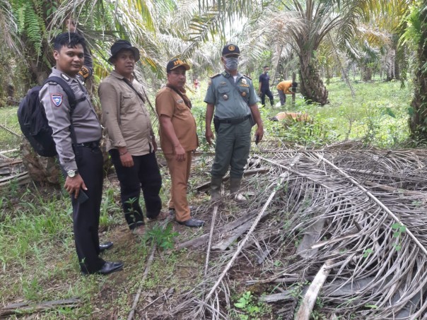 Jejak hariamau sumatera ditemukan, tim BBKSDA Riau lakukan mitigasi