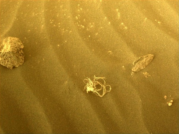 Foto : Objek mirip mie terlihat di Mars