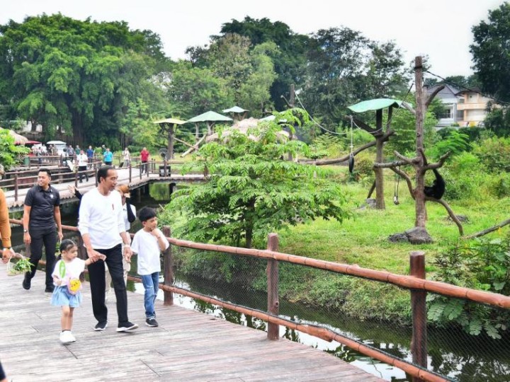 Akhir Pekan  Jokowi Ajak Cucu Jalan Jalan Ke Solo Safari