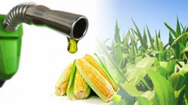 Ilustrasi bioetanol