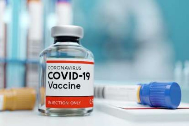 Calon vaksin virus corona di India. 