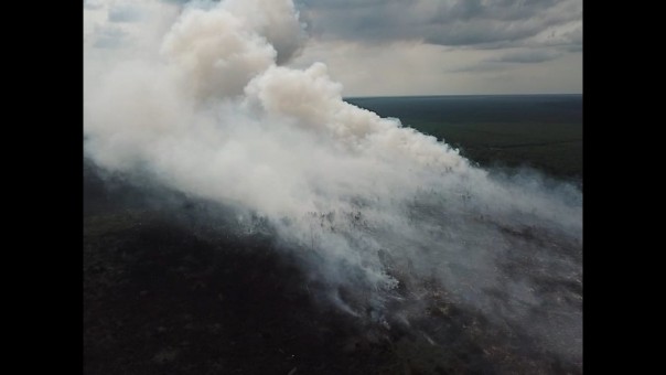 Ilustrasi kebakaran hutan dan lahan. 