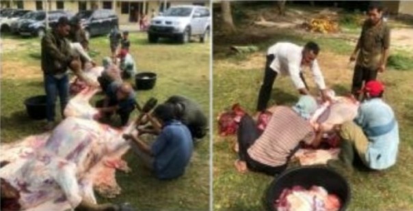 Jajaran Polres Rokan Hilir Potong 57 Hewan Kurban Jajaran Polres Rokan Hilir Potong 57 Hewan Kurban