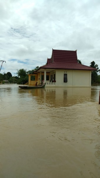 Empat Sungai Meluap, 233 KK Terdampak di Pelalawan Riau