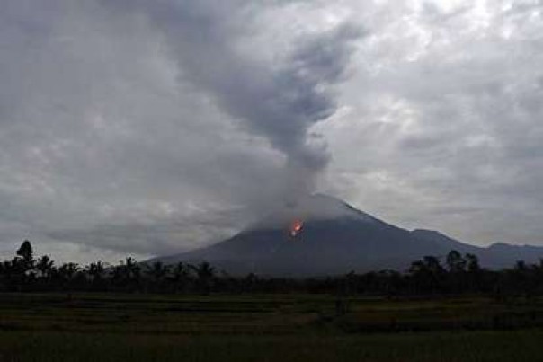 Gunung Semeru luncurkan awan panas guguran.