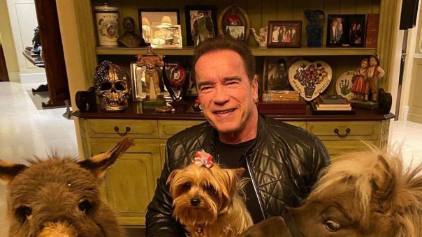 Kecelakaan Mobil, Begini Kondisi Terbaru Arnold Schwarzenegger