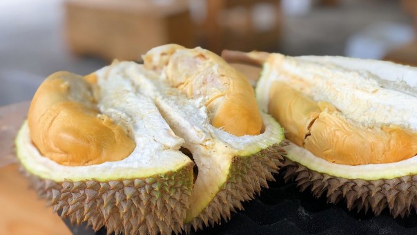 Mengapa Setelah Makan Durian Pusing? Ini Penyebab dan Cara Mengatasinya