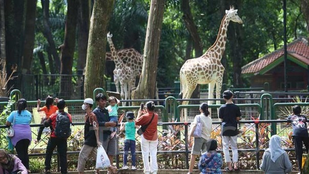 30.000 Wisatawan Berbondong-bondong ke Kebun Binatang Ragunan Saat Liburan Waisak