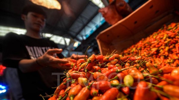 Menteri Limpo Senang Petani Diuntungkan Dengan Melonjaknya Harga Cabai