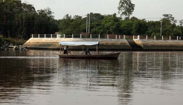 Hasil Penelitian Temukan Kontaminasi Kimia di Sungai Siak Riau