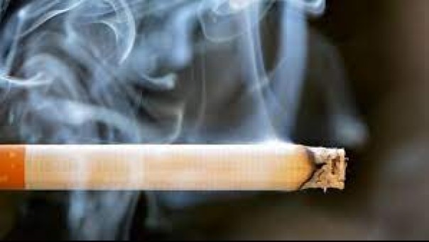 Setiap Hisapan Rokok Bisa Meningkatkan Risiko Berbagai Penyakit, Salah Satunya Kanker Rongga Mulut