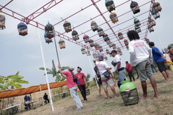 Bentuk Komitmen Support Kearifan Lokal Pena Mas Ganjar Resmikan Gantangan Pertapa Di Tegal