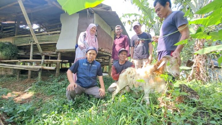 Pastikan Hewan Kurban Sehat  BAZNAS Kunjungi Peternak Binaan BMH di Bogor