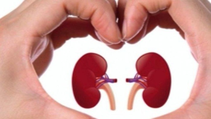 Daftar Makanan Sehat untuk Menjaga Fungsi Ginjal Tetap Optimal