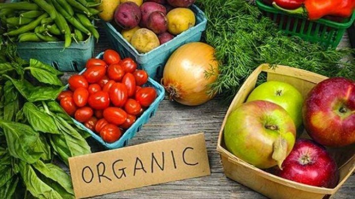 dr. Zaidul Akbar Bagikan Makanan Alami yang Disukai Organ Tubuh, Mulai dari Jantung hingga Tulang